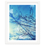Winter thumbnail