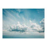 Airborne (Print Only) thumbnail