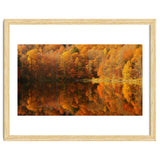 Autumn Reflections thumbnail