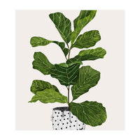 Fiddle Leaf Fig Tree Plant (Print Only)