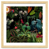 Moody Botanical Midnight Jungle Birds thumbnail