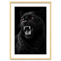 Black leopard with colorful eyes portrait