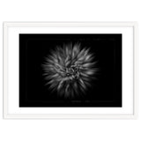 Backyard Flowers In Black And White No 20 Flow Version with Border thumbnail