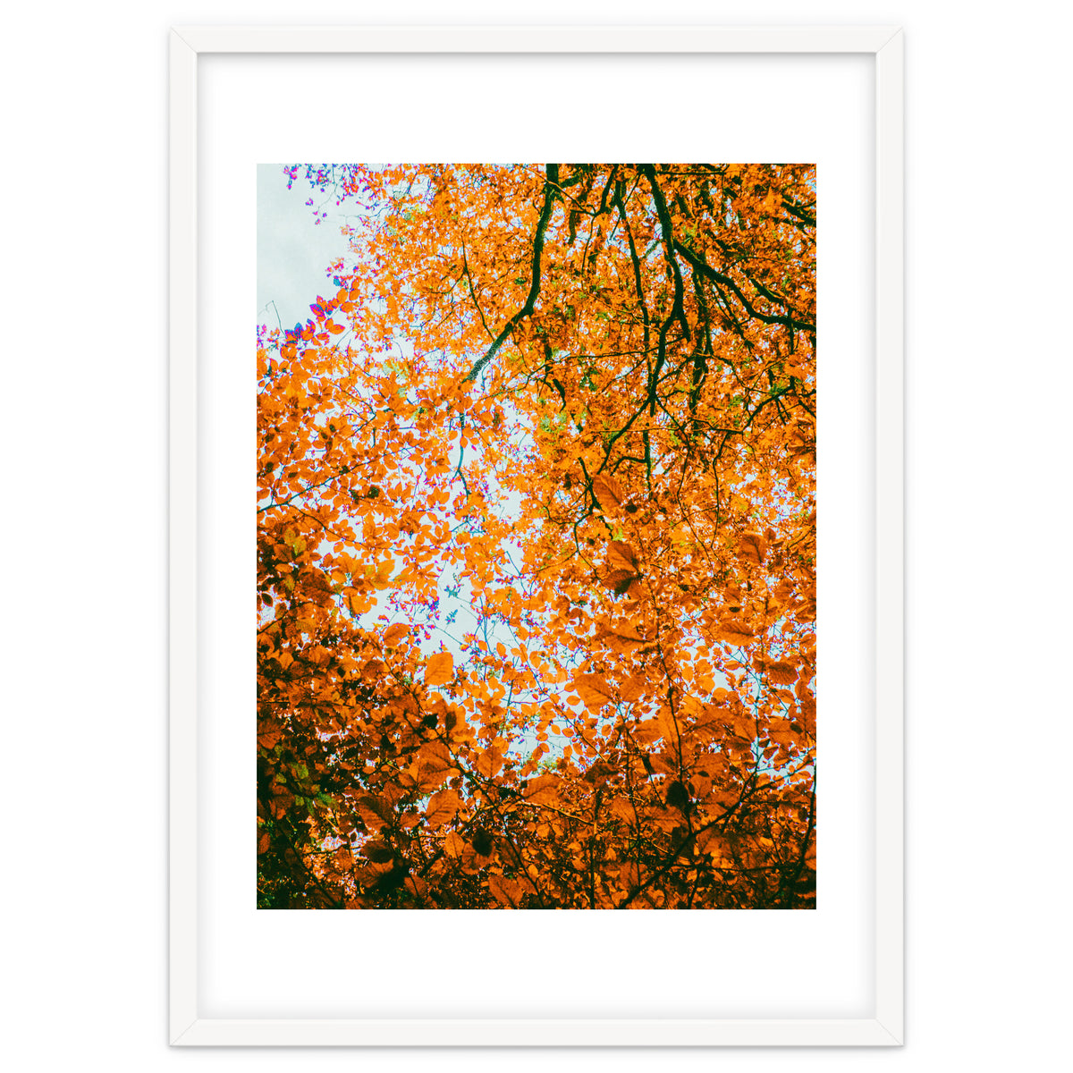 Autumn Leaves
