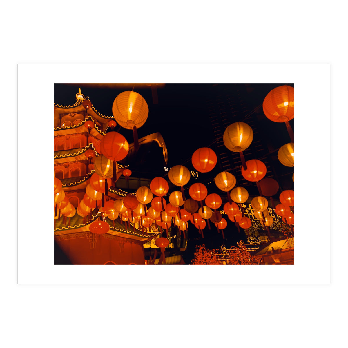 Light The Way (Print Only)