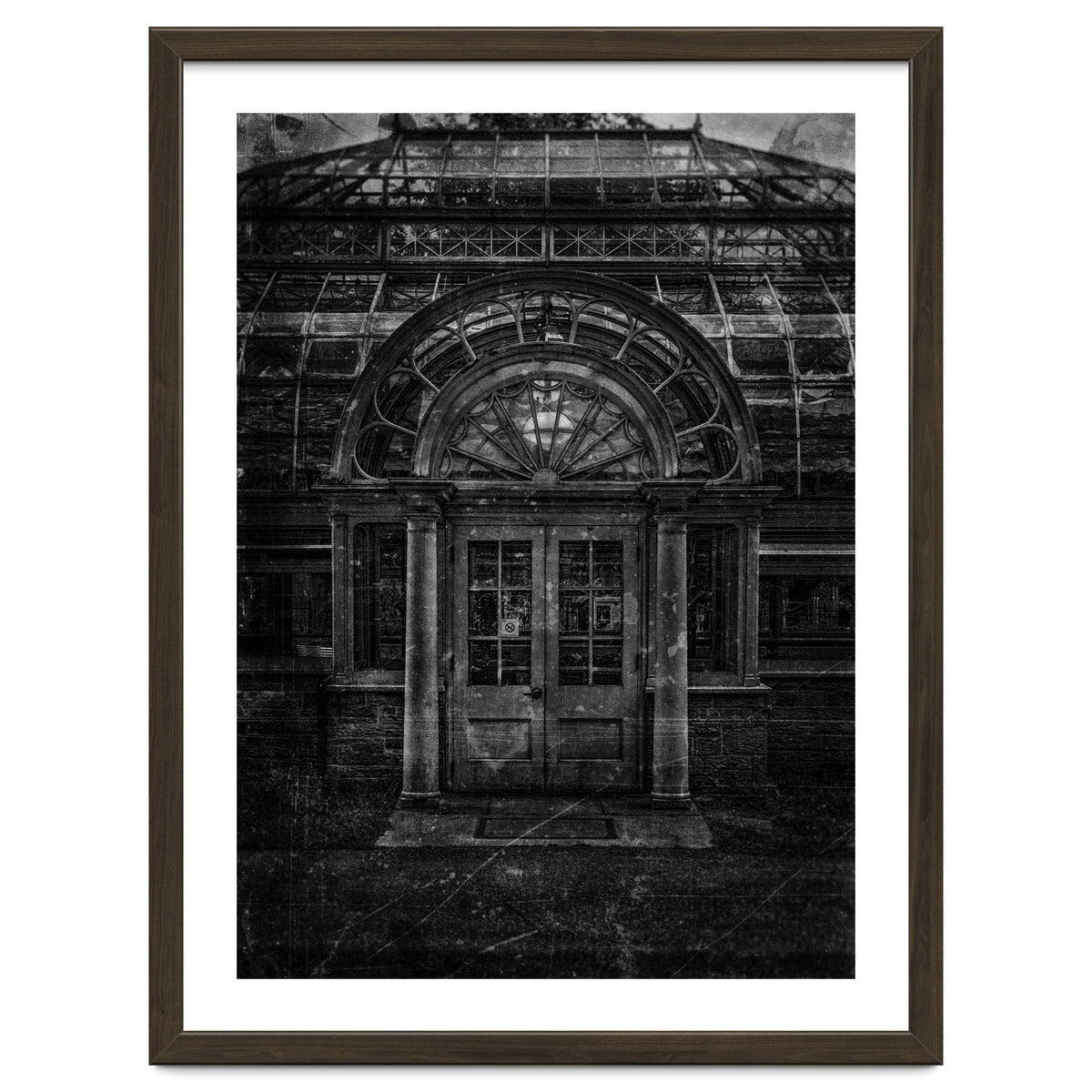 Allan Gardens Conservatory Palm House No 5 Old Film Version