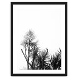 Miminalist Palm thumbnail