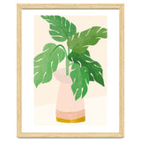 Fresh Morning Monstera Plant thumbnail