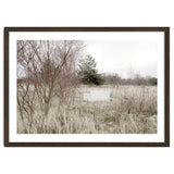 Abandoned Sofa in the middle of nowhere thumbnail