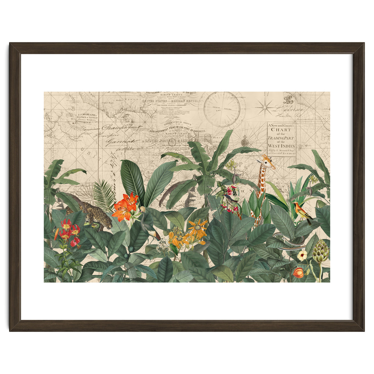 Explore The New World Wild Animals