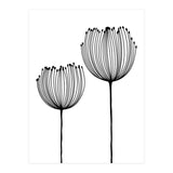 Two wildflowers (Print Only) thumbnail