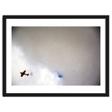 The Little Prince thumbnail