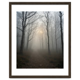 Ethereal Morning Light Breaking Through Dense Forest Fog thumbnail