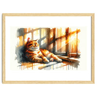 Cat Relaxing In Sunlight