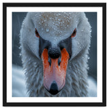Close Up Of A Swan's Face With Water Droplets thumbnail