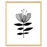 Tulip blossom thumbnail
