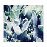 Cactus Garden (Print Only) thumbnail