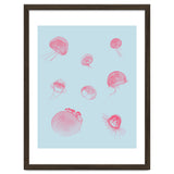 Jellyfish thumbnail