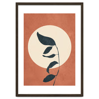 Summer Leaves