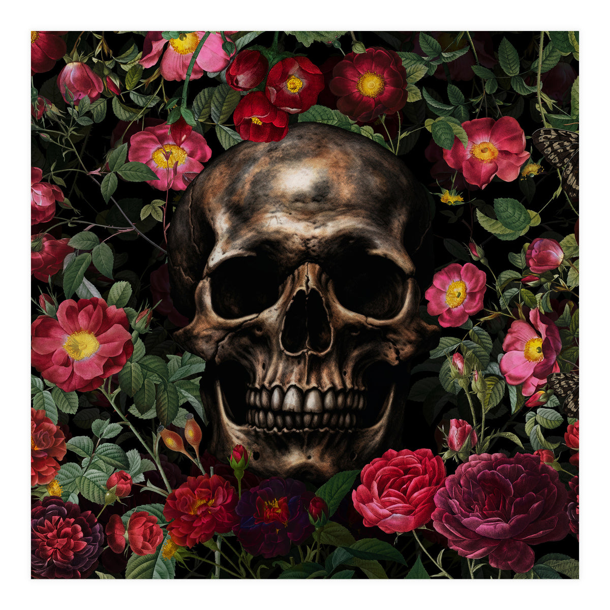 Baroque  Skull And Roses Night Garden 1 (Print Only)