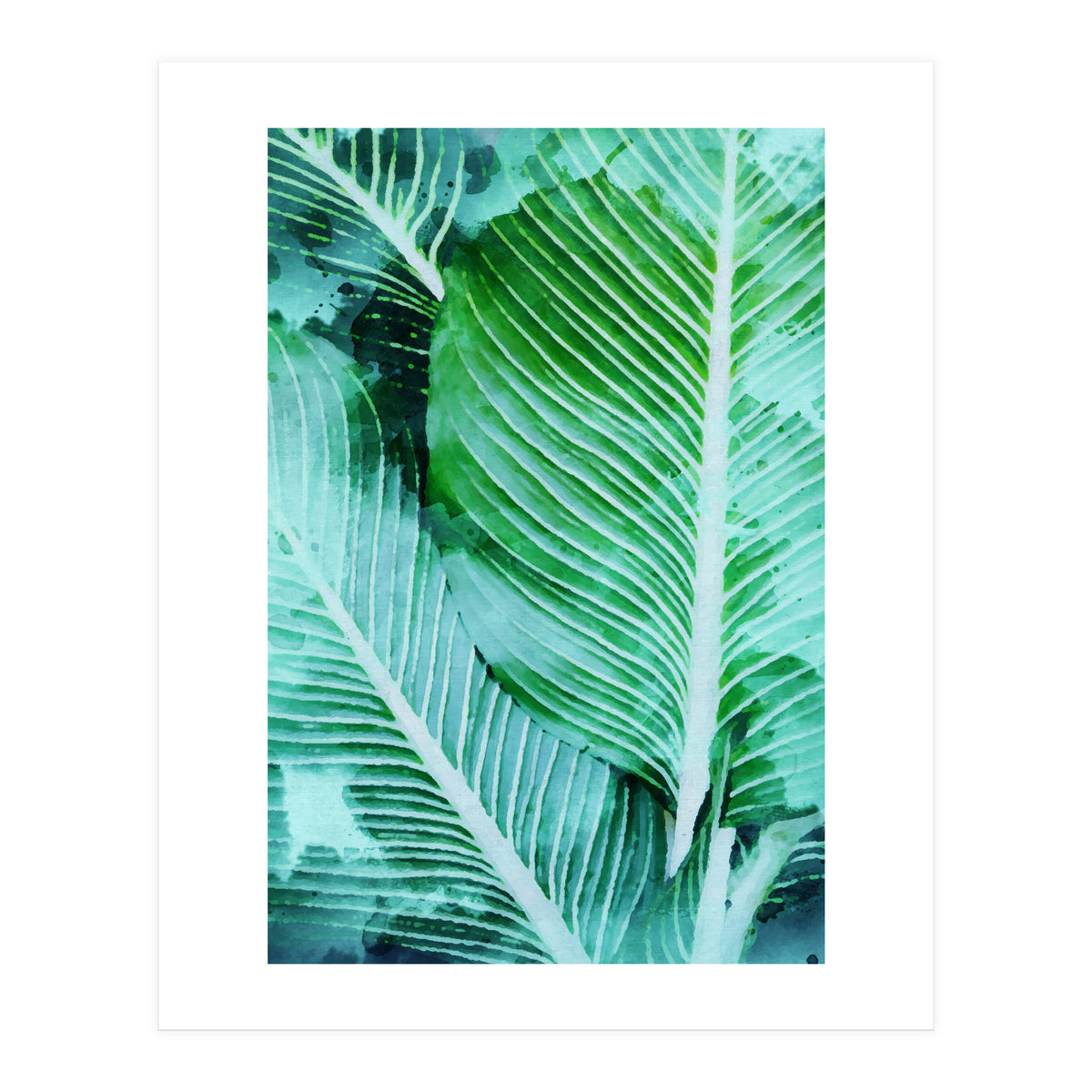 Rearranged Beauty (Print Only)