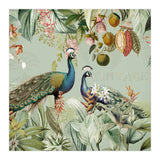 Vintage Exotic Asian Peacocks In Tropical Jungle Landscape (Print Only) thumbnail