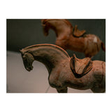 Horse (Print Only) thumbnail