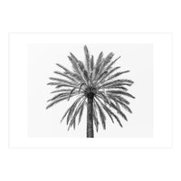 Palm tree in Italy (Print Only)