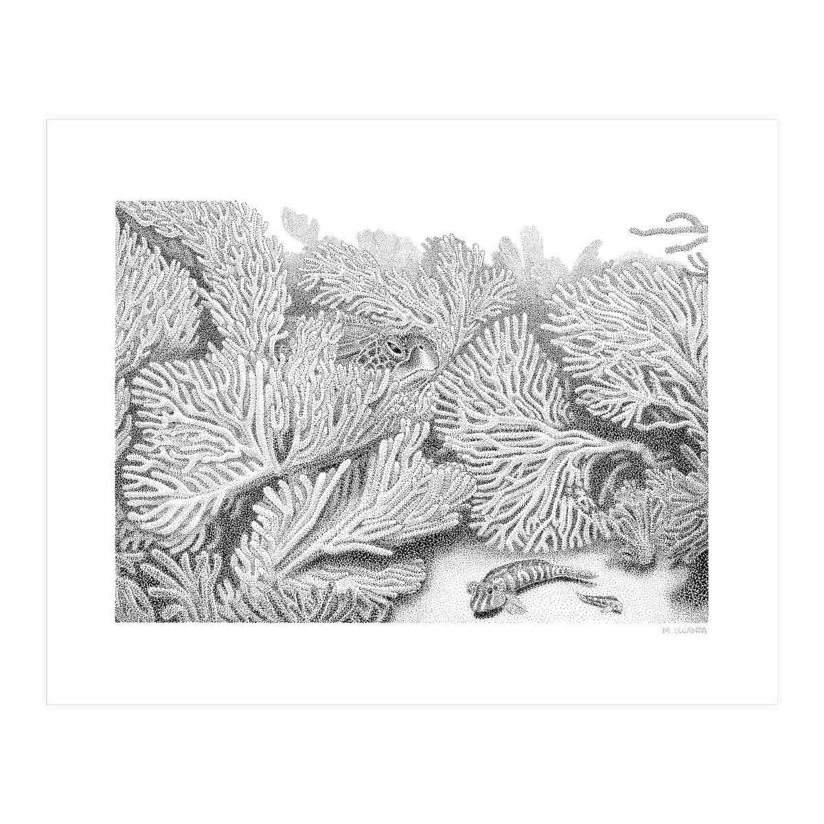 Hidden in plain sight (Print Only)