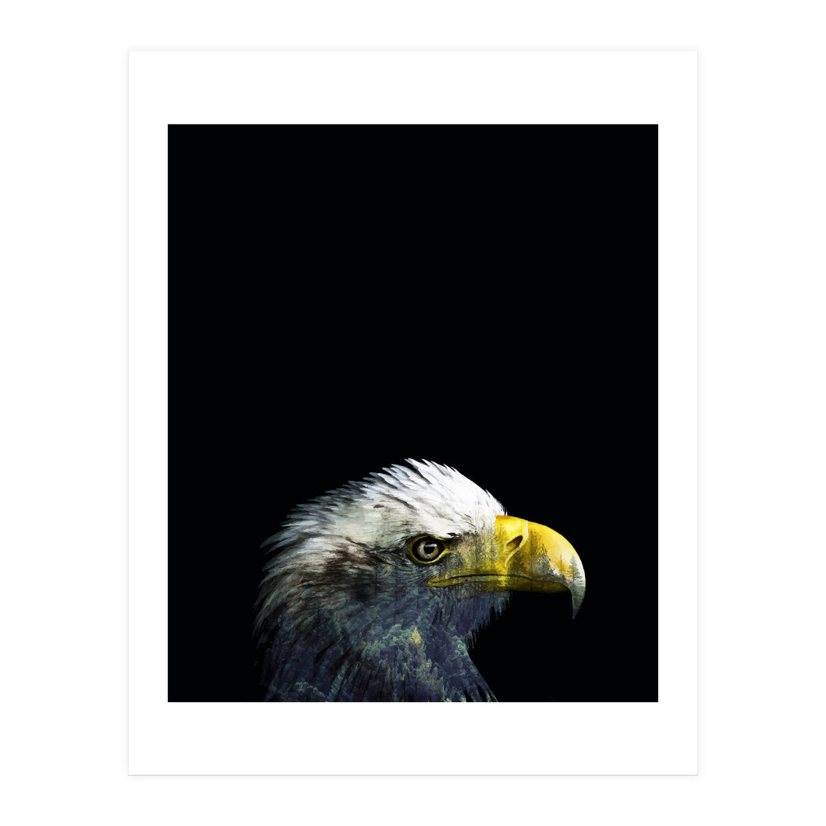 What It A Dream (Print Only)