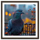 Pigeon With Water Droplets thumbnail