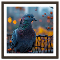 Pigeon With Water Droplets
