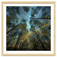 Enchanted Night Forest with Glowing Fireflies