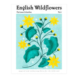 English Wildflowers | Lesser Celandine (Print Only) thumbnail