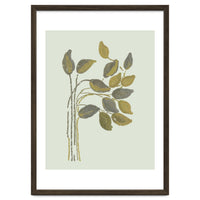 Olivia muted botanical oils