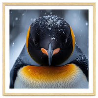 Close Up King Penguin In The Snow