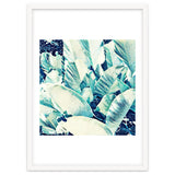 Banana Leaf Crush thumbnail