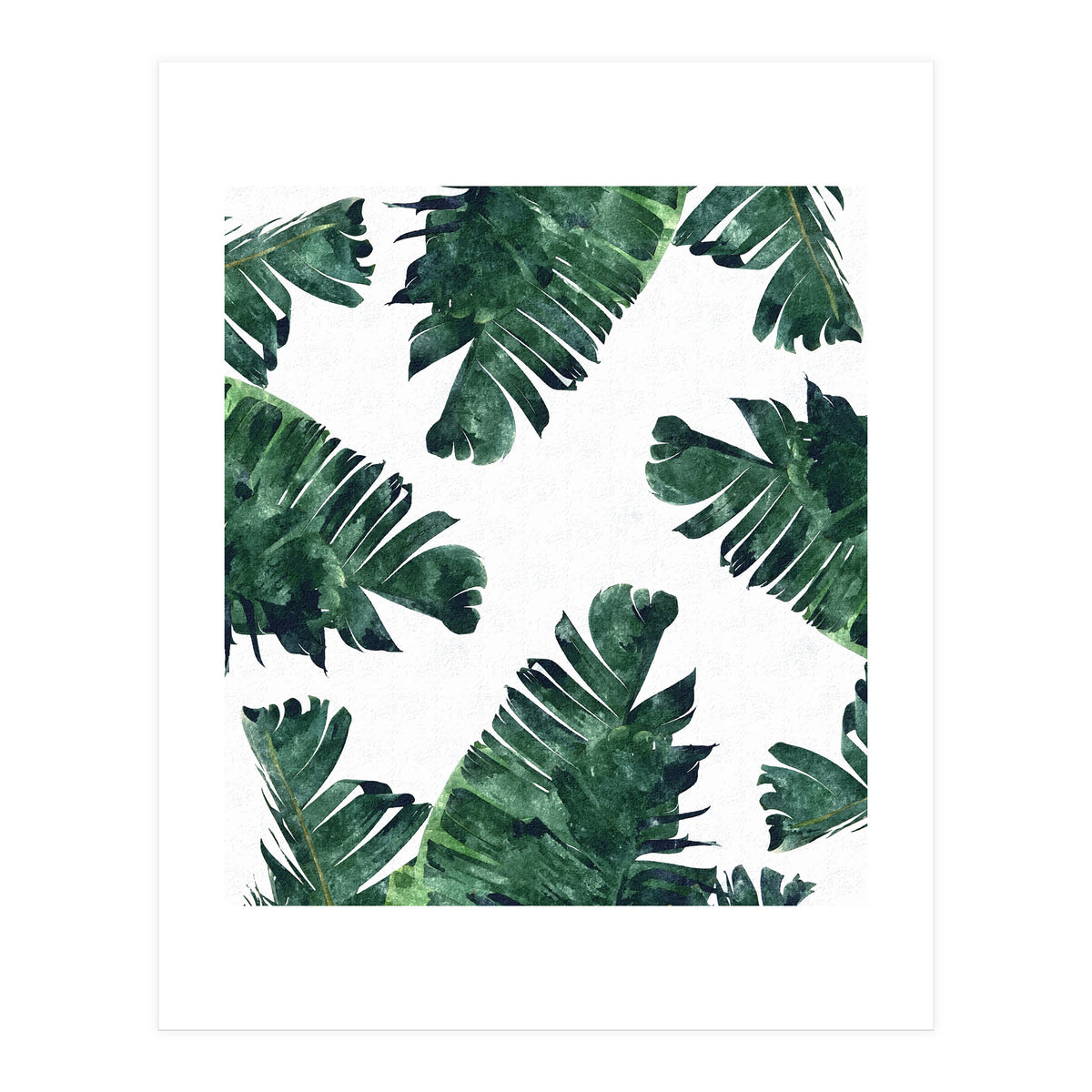 Banana Leaf Watercolor Painting, Tropical Nature Botanical Palm Illustration Bohemian Minimal Luxe (Print Only)