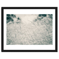 Walking Through Long Grass