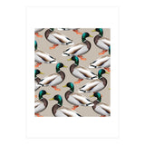 Mallards (Print Only) thumbnail