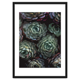 Succulent Plant Ii thumbnail