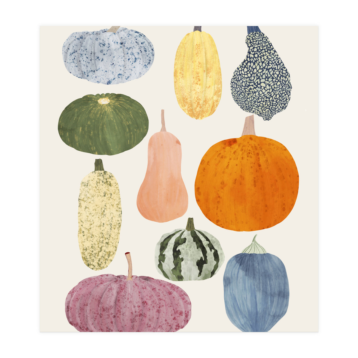 Still Life Of Pumpkins (Print Only)