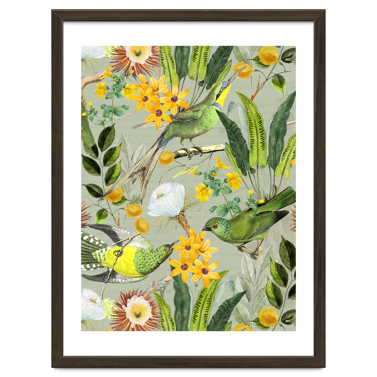 Tropical Birds in Exotic Jungle