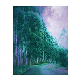 Magical Path (Print Only) thumbnail