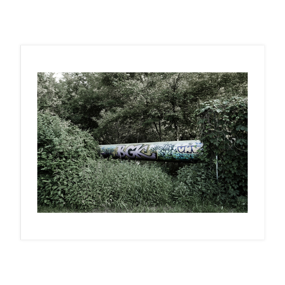 Graffiti pipe among the summer forest (Print Only)