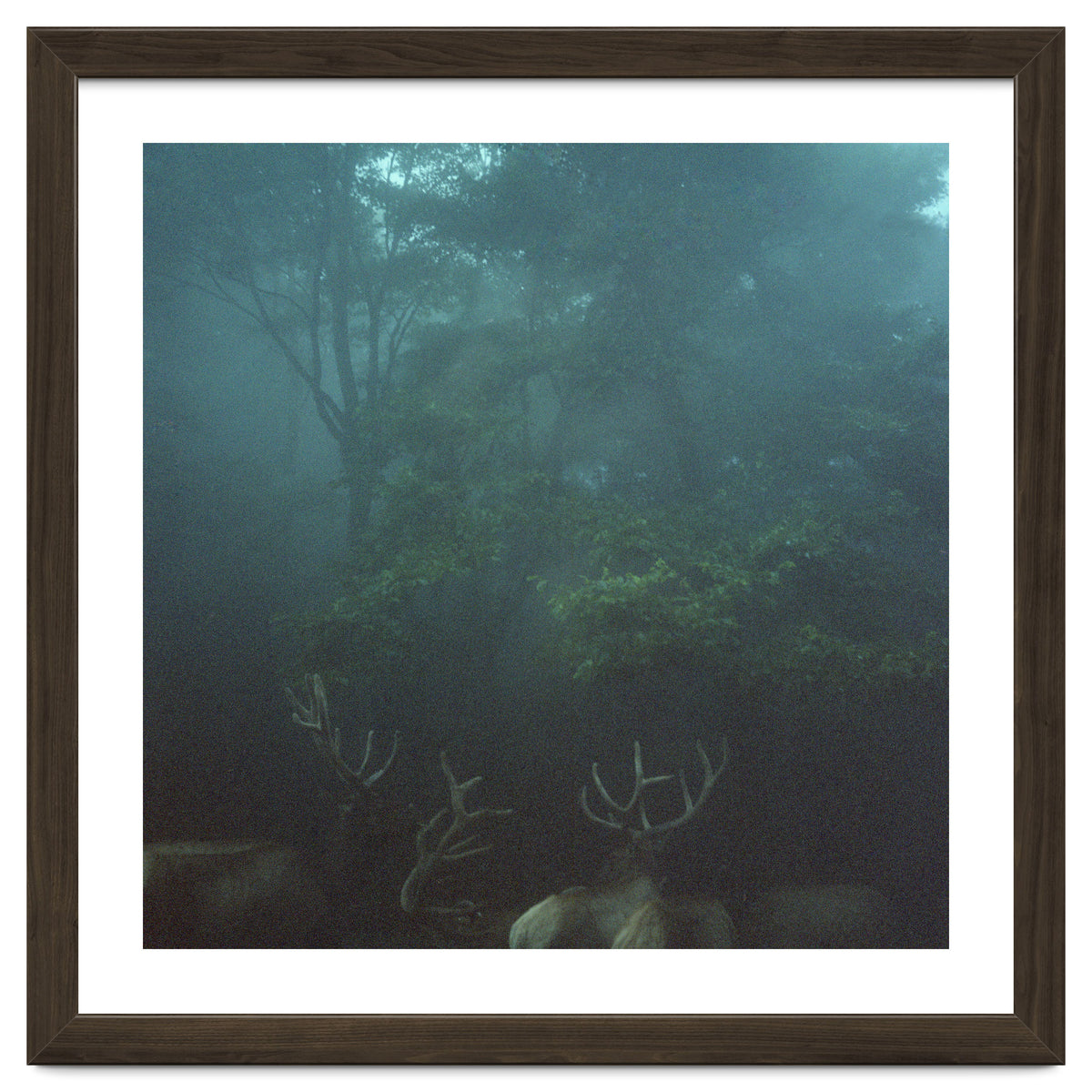 Silence of breath - 12