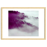 Forest Fog thumbnail