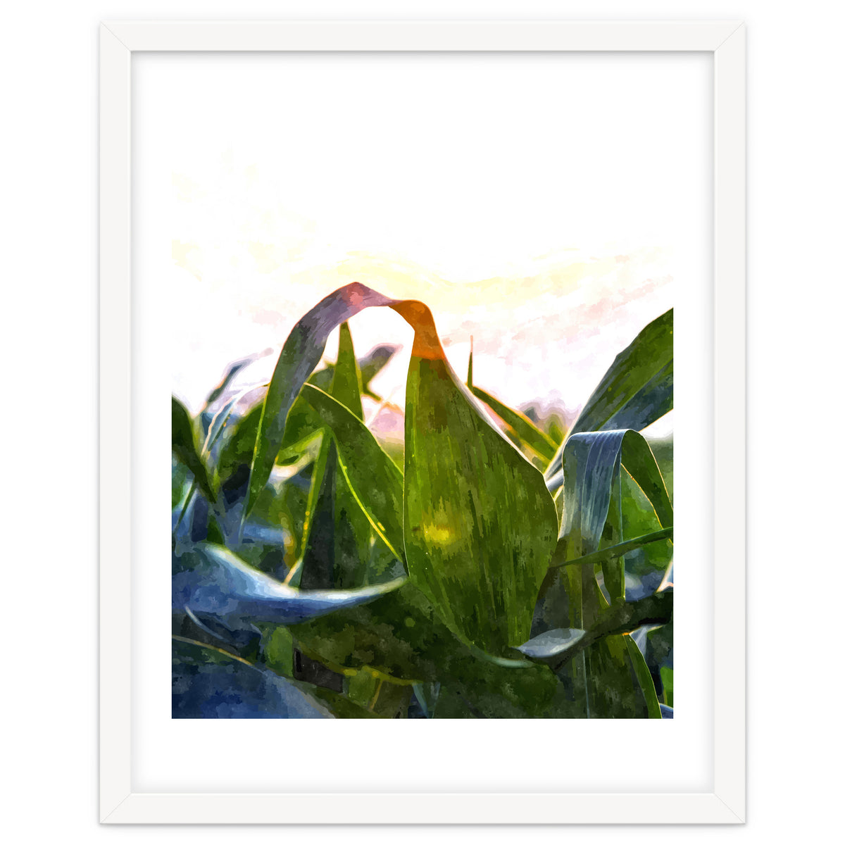 Hope With Abstraction