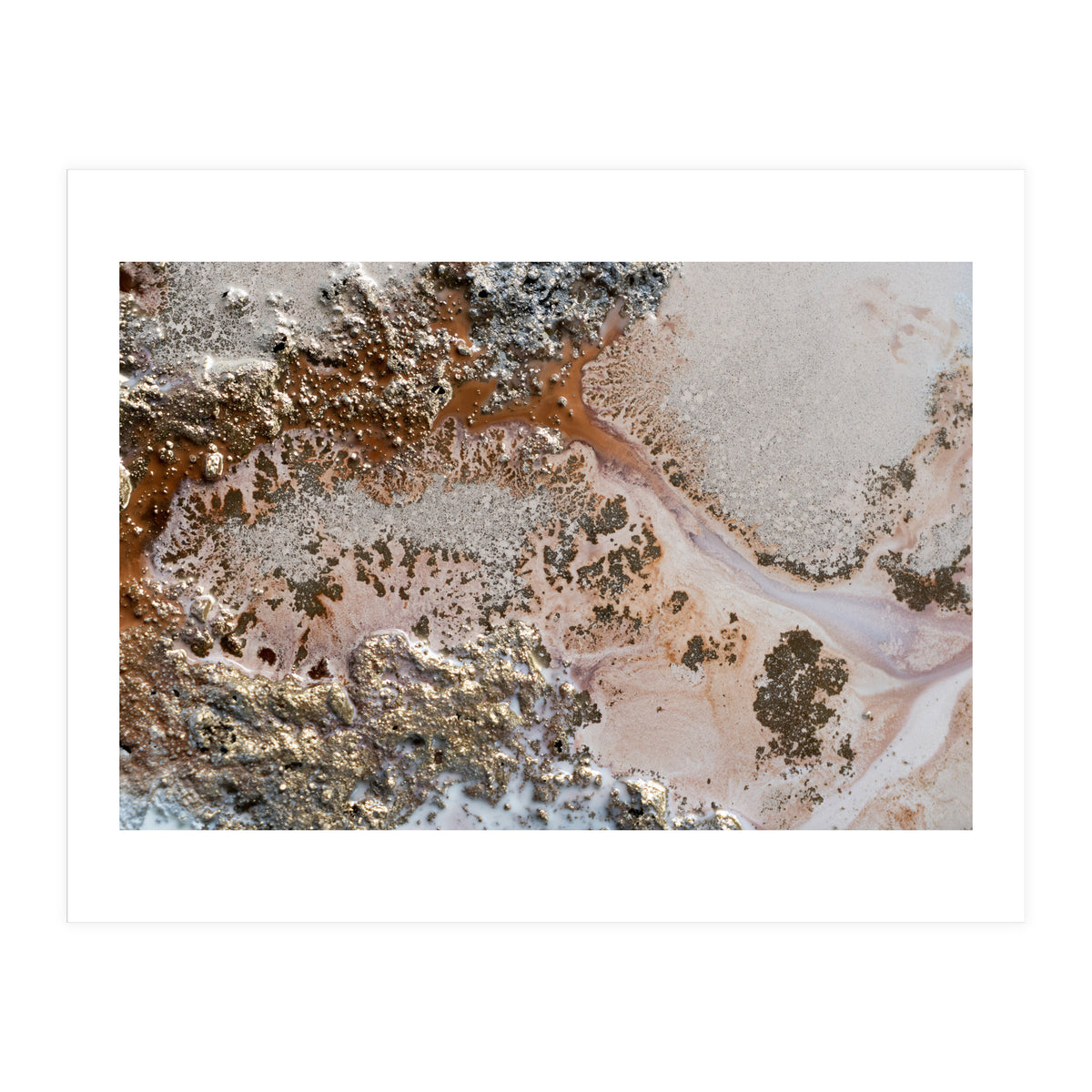 Conection (Print Only)