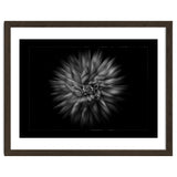 Backyard Flowers In Black And White No 20 Flow Version with Border thumbnail